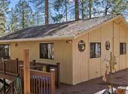 Big Trees, Little Cabin