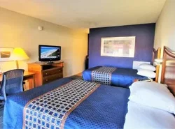 Economy 7 Inn- Newport News