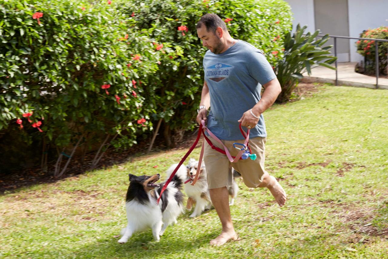 Best Western The Plaza Hotel - Free Breakfast - thumb 20