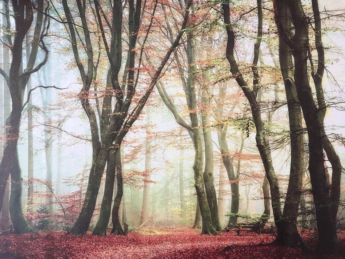 Waikiki Whale Watcher Apts 304 - thumb 6