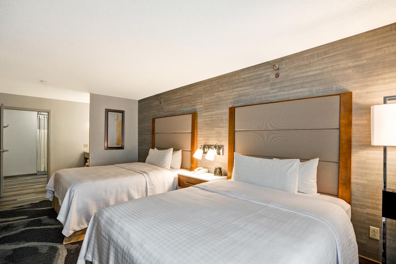 Homewood Suites By Hilton Chicago-Downtown - thumb 10
