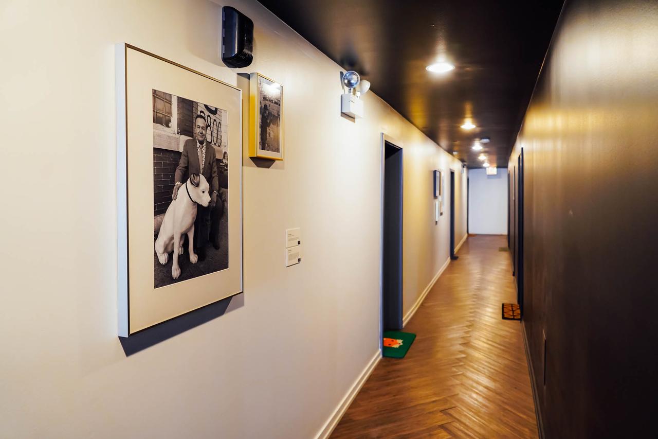 Modern Studio, Nightlife | Near Wrigley M10 - thumb 39