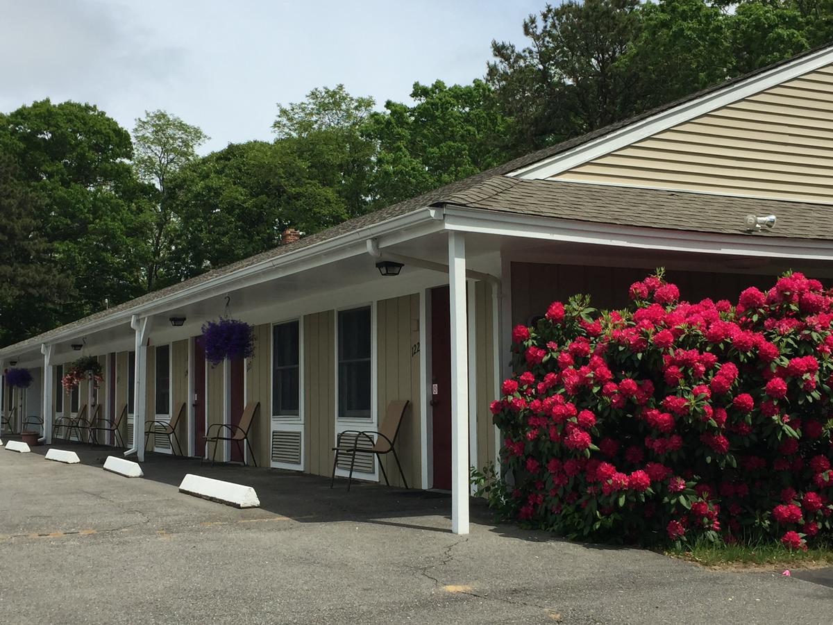 Viking Shores Motor Inn - thumb 19