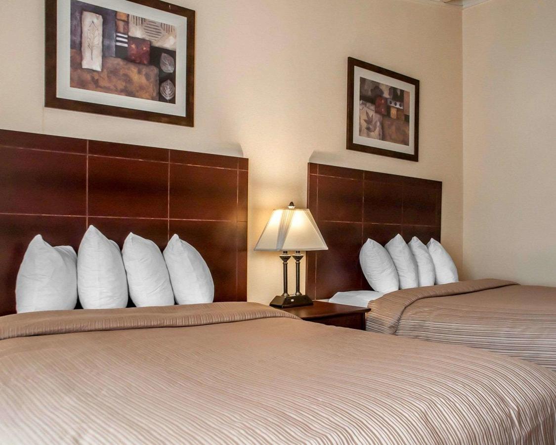 Quality Inn Buffalo Airport - thumb 33