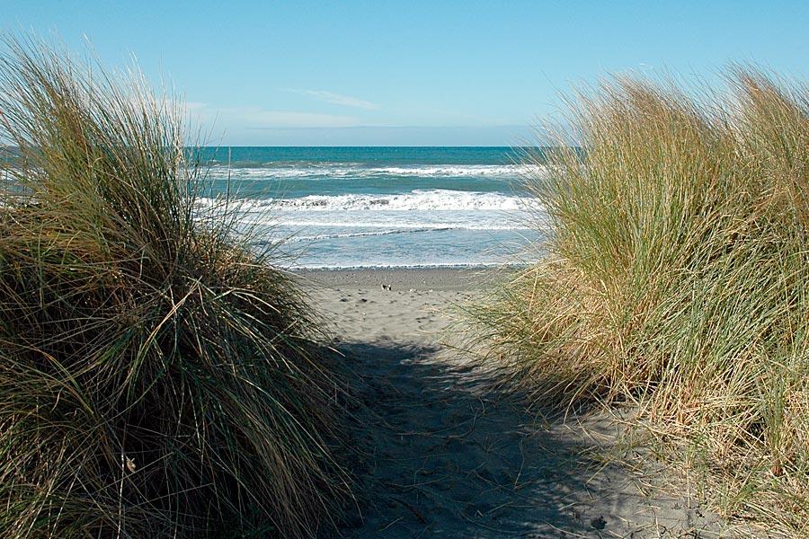 Gold Beach Inn - thumb 10