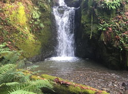 Taylor Creek Lodge