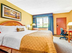 Wyndham Garden York
