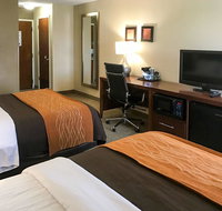 Comfort Inn Clemson - University Area - Accommodation Chicago