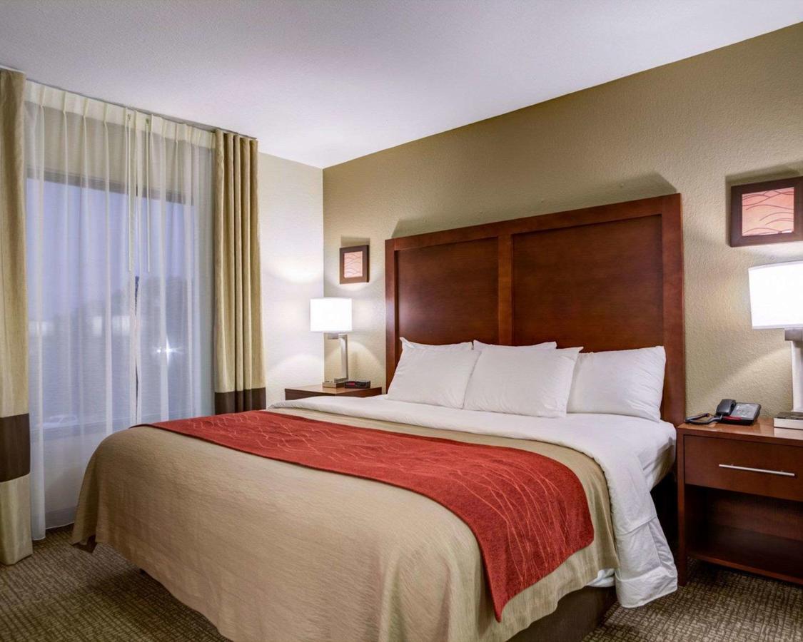 Comfort Inn Clemson - University Area - thumb 7