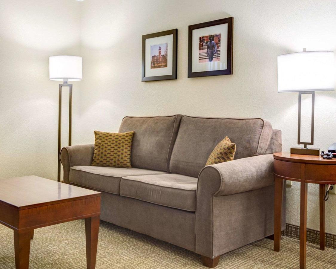 Comfort Inn Clemson - University Area - thumb 25