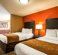 Comfort Suites At WestGate Mall - Accommodation Chicago