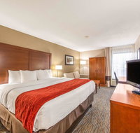 Comfort Inn Greenville - Haywood Mall - Accommodation Chicago