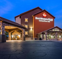 Best Western Plus Cotton Tree Inn - Accommodation Chicago
