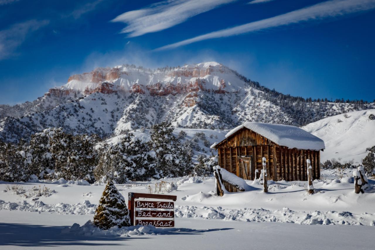 Bryce Trails Bed And Breakfast - thumb 22