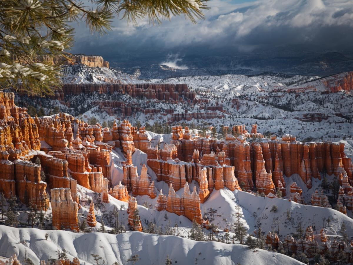 Bryce Trails Bed And Breakfast - thumb 19