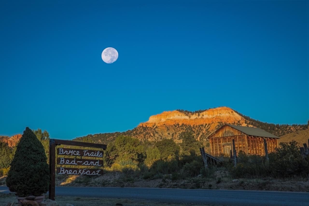 Bryce Trails Bed And Breakfast - thumb 23