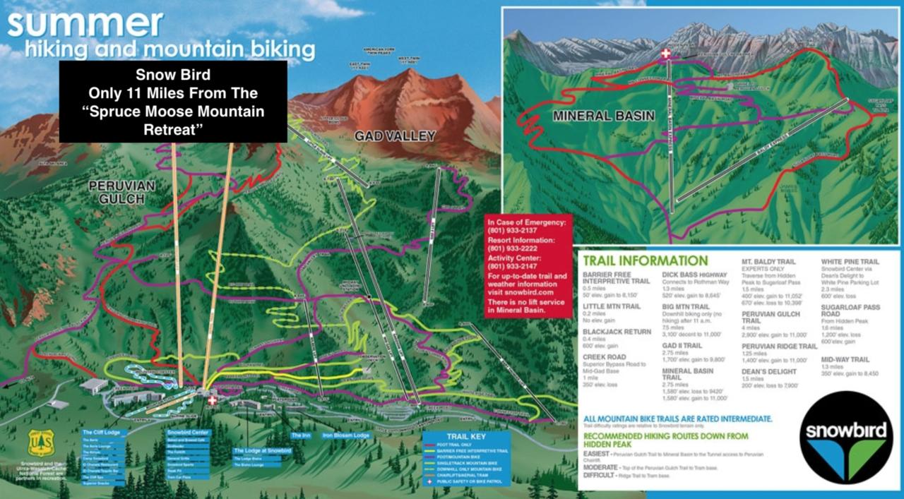 Spruce Moose Mtn Retreat W Sauna 11 Miles To World Class Ski - thumb 43