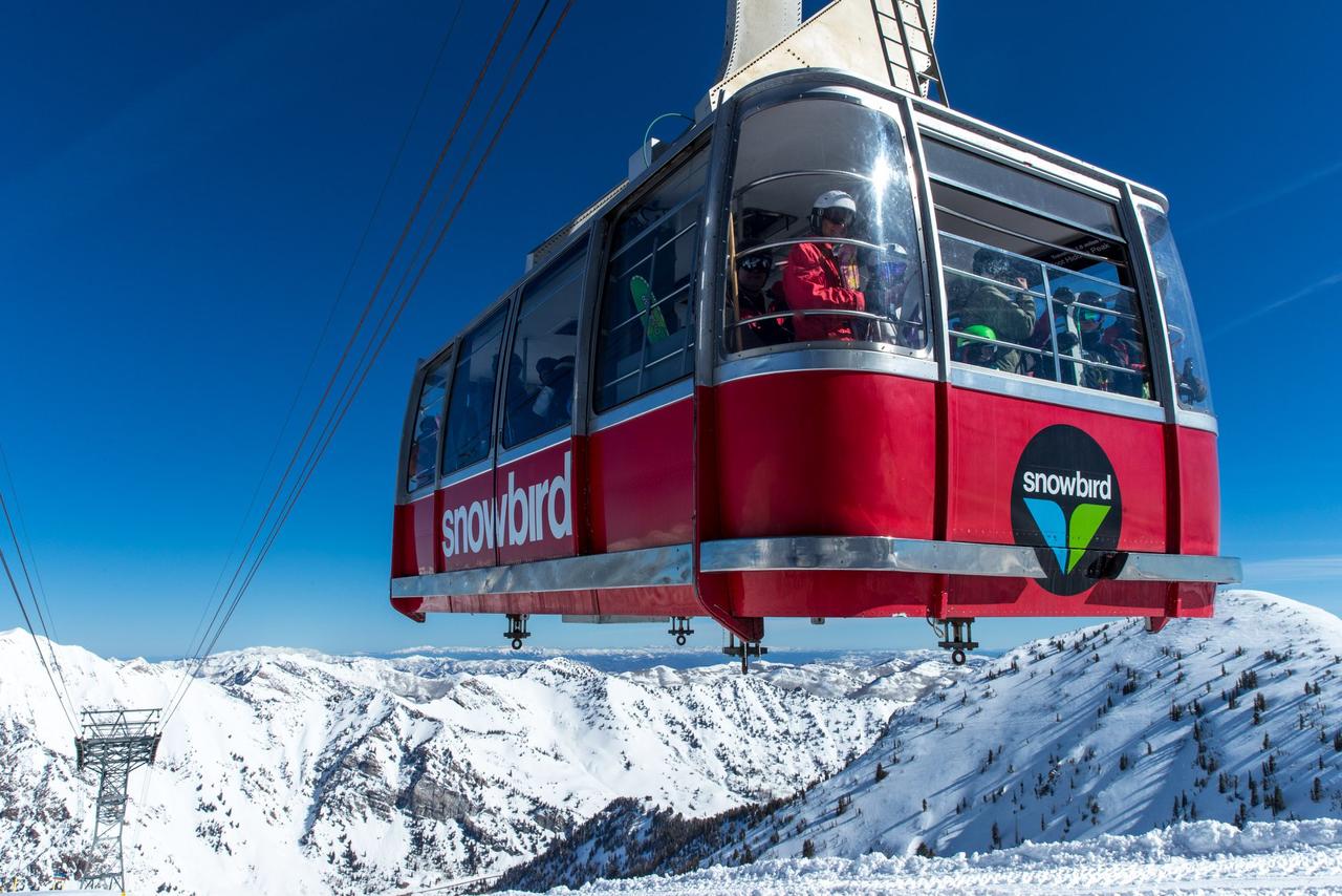 #21.: Union Woods - thumb 25