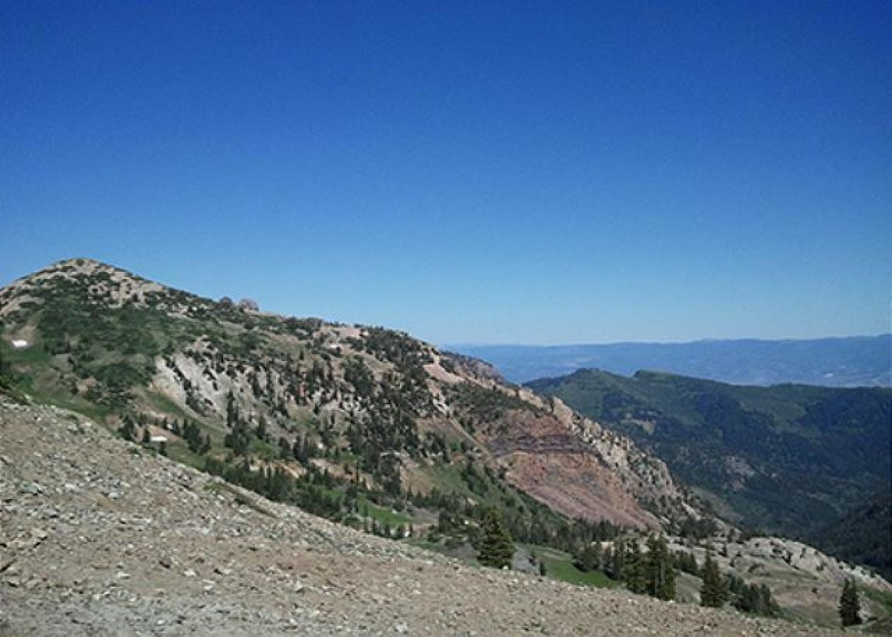 #21.: Union Woods - thumb 32