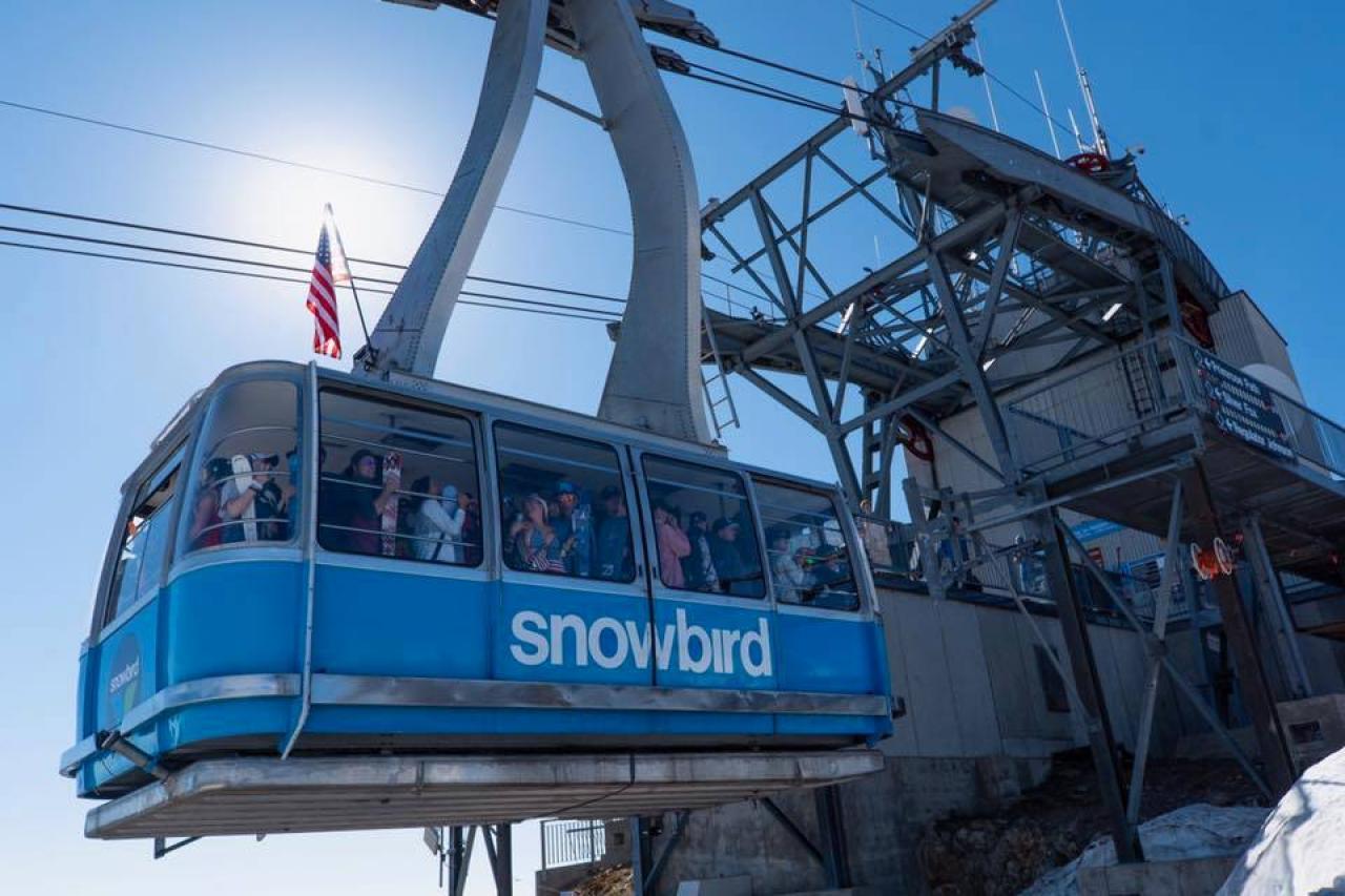 #21.: Union Woods - thumb 21