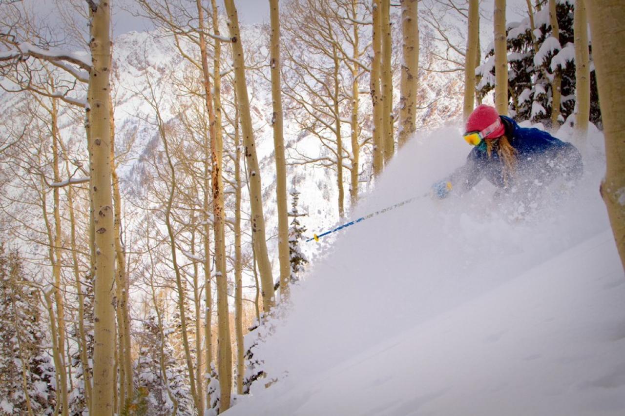 #21.: Union Woods - thumb 30