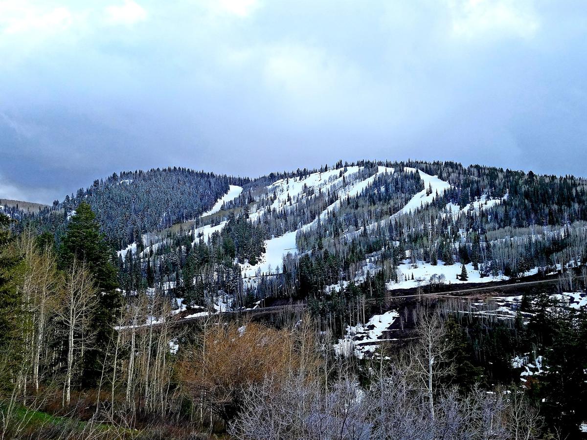 #21.: Union Woods - thumb 33