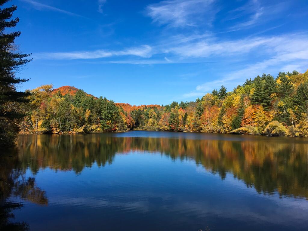 Mountain Meadows Lodge - thumb 0