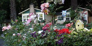 Fern Grove Cottages - thumb 1