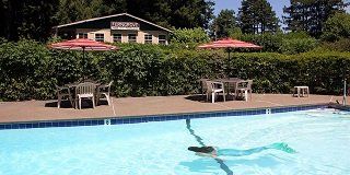 Fern Grove Cottages - thumb 3