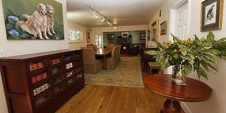 Fern Grove Cottages - thumb 4