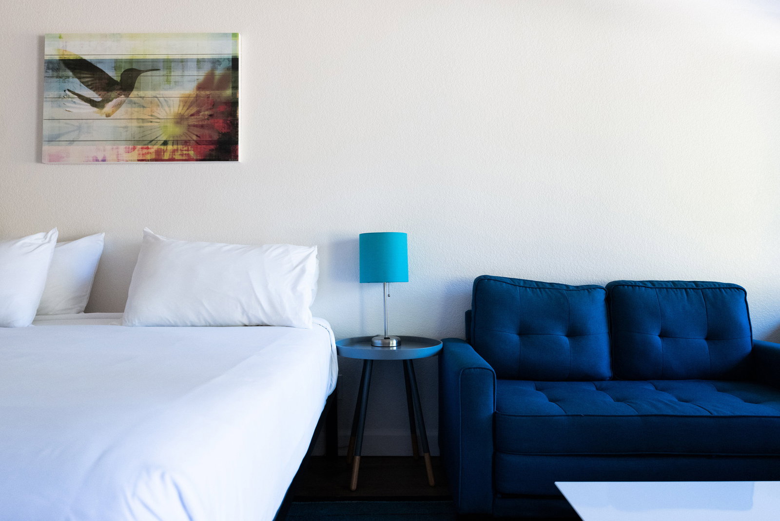 Casa Secoya - thumb 12