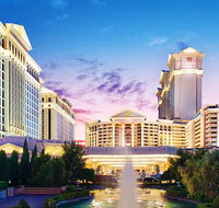 Caesars Palace Las Vegas Hotel  Casino - Accommodation Chicago