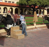 6-Hour Guided Best of Fort Worth Historical Tour - Accommodation Chicago