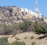 Half Day Hollywood and Beverly Hills Tour - Accommodation Chicago