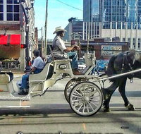 45 Minute Narrated Ride - Accommodation Chicago
