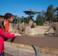 San Diego Zoo 1-Day Pass Ticket No Reservations Required - Accommodation Chicago