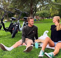 4 Hour Self-Guided Electric Bike Tour or Rental - Accommodation Chicago