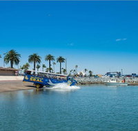 San Diego Seal Tour - Accommodation Chicago
