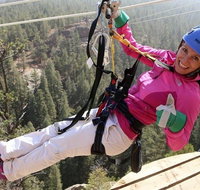 Fins Course Scenic Zipline Tour - Accommodation Chicago