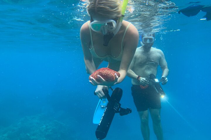 E-Scooter Snorkel With Photo And Video At Turtle Town - thumb 4