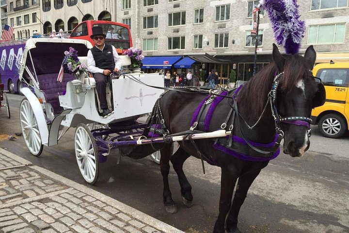 NYC Central Park Horse And Carriage Ride: Long Ride 45 Min - thumb 0