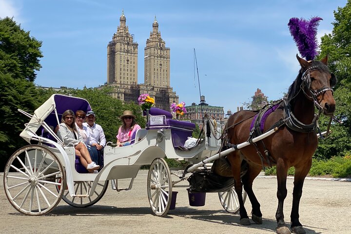NYC Central Park Horse And Carriage Ride: Long Ride 45 Min - thumb 1