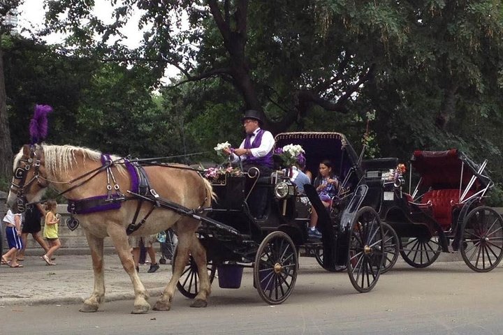 NYC Central Park Horse And Carriage Ride: Long Ride 45 Min - thumb 2