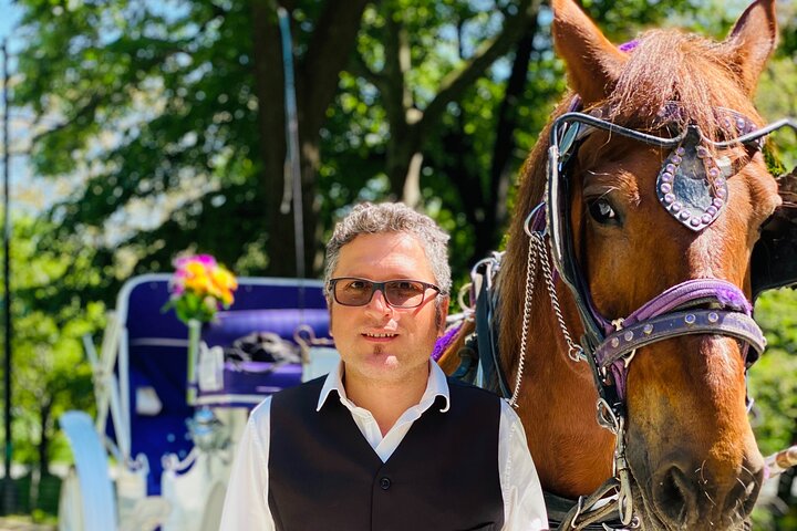 NYC Central Park Horse And Carriage Ride: Long Ride 45 Min - thumb 3