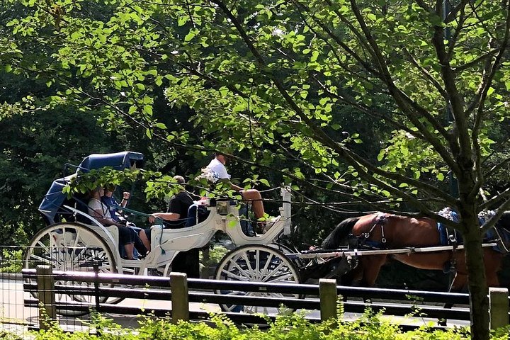 NYC Central Park Horse And Carriage Ride: Long Ride 45 Min - thumb 4