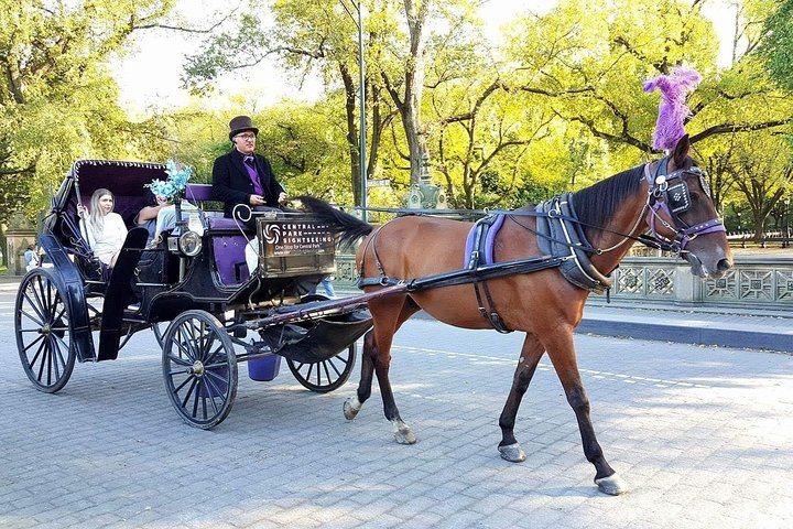 NYC Central Park Horse And Carriage Ride: Long Ride 45 Min - thumb 5