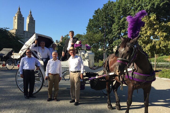 NYC Central Park Horse And Carriage Ride - thumb 3