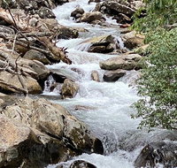 Thundering Streams and Falls of the Smokies Guided Hiking Tour - Accommodation Chicago