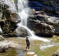 Old Growth Forest Cascade - Accommodation Chicago