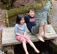 Explore a Simpler Time Smoky Mountain Tour - Accommodation Chicago